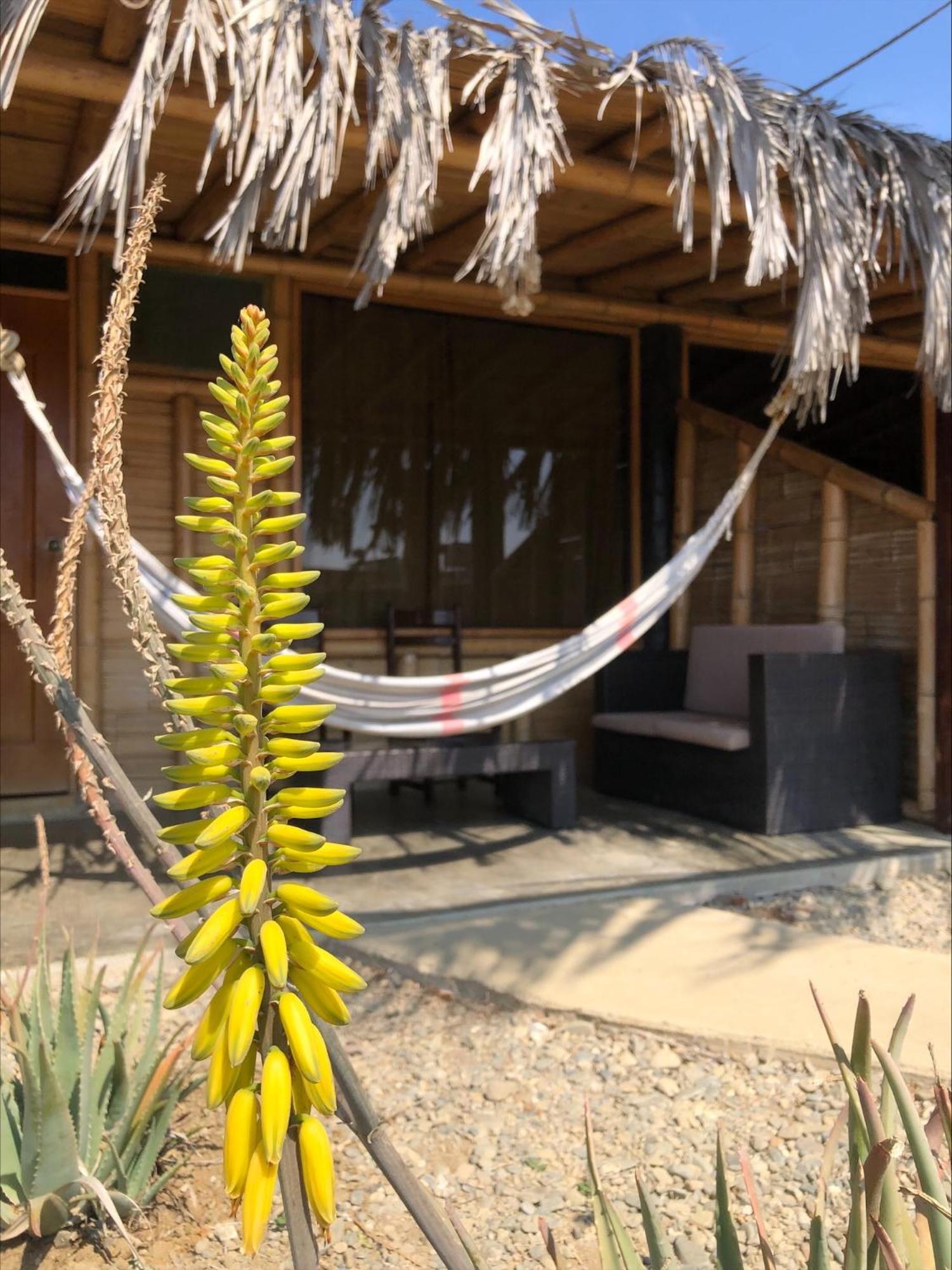 Hotel Wayra Lobitos Zewnętrze zdjęcie